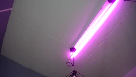 Snapshot of dalia_corrs0 chatting on 28, 1, 2025 online show from 28, 1, 2025