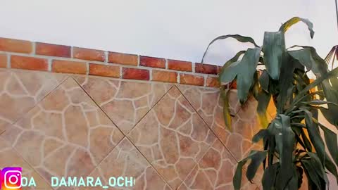 Snapshot of damara_ochoa chatting on 22, 2, 2025 online show from 22, 2, 2025