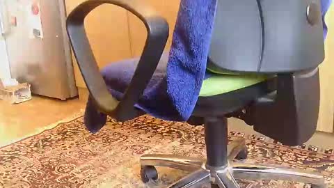 Snapshot of dammerl6 chatting on 18, 2, 2025 Dammerl online show from 18, 2, 2025