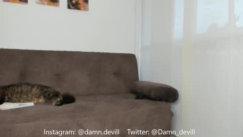 Angie   online show from 1, 3, 2025