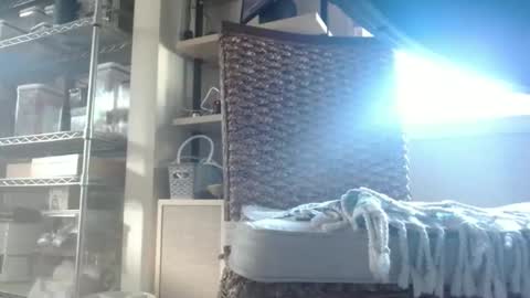 Dan online show from 12, 2, 2026