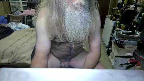 Dana online show from 23, 3, 2026