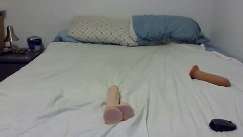 Snapshot of dandyhandys chatting on 30, 12, 2024 Andy online show from 30, 12, 2024