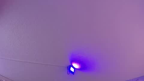 Snapshot of danee_19 chatting on 11, 3, 2025 Daniela online show from 11, 3, 2025