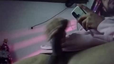 dani9821569006 online show from 19, 12, 2024