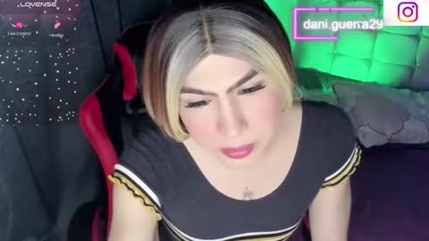 dani online show from 29, 4, 2026