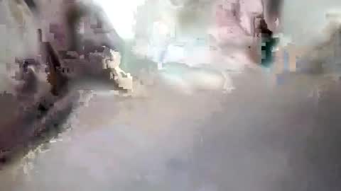 danicrss8 online show from 8, 2, 2026