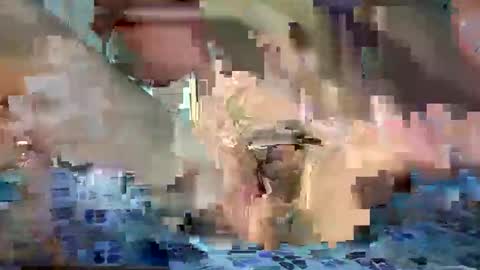 daniel_griffin online show from 20, 5, 2026