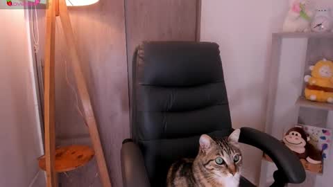 Danielle Rose online show from 2, 11, 2025