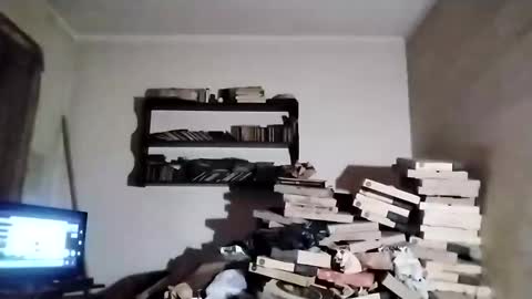 danitacrs online show from 23, 3, 2026