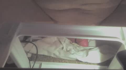 Snapshot of dankosy747996 chatting on 7, 1, 2026 TheDude online show from 7, 1, 2026