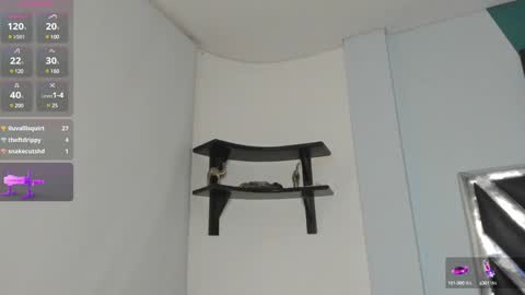 Danna online show from 19, 12, 2024