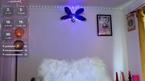 danni online show from 16, 5, 2026