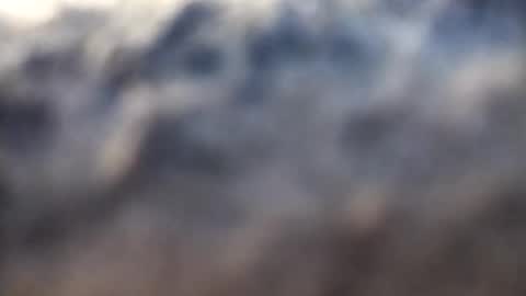 Snapshot of dannowisc chatting on 17, 2, 2026 dannowisc online show from 17, 2, 2026