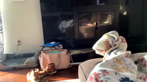 dannyboy621 online show from 2, 11, 2025