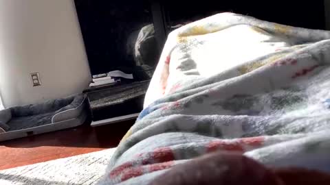 dannyboy621 online show from 6, 11, 2025