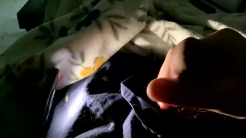 dannyboy621 online show from 9, 11, 2025