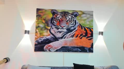 DANTE online show from 28, 12, 2024