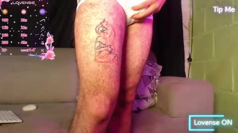 dante_bear online show from 26, 5, 2026