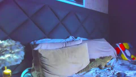 Snapshot of dany_dryy chatting on 28, 11, 2025 Dany online show from 28, 11, 2025