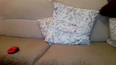 Snapshot of danydotado chatting on 21, 12, 2024 danydotado online show from 21, 12, 2024