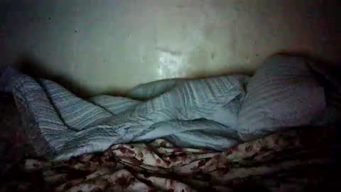 daphne online show from 22, 2, 2026