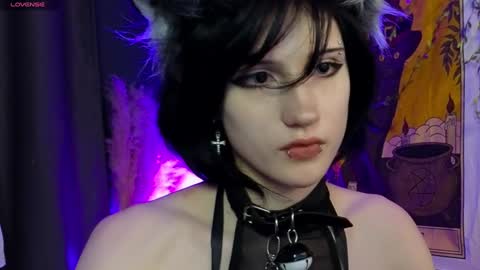 Vamp  online show from 5, 12, 2024