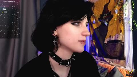 Vamp  online show from 16, 12, 2024
