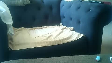 Snapshot of darkangelmarkos007 chatting on 8, 1, 2025 DarkAngel online show from 8, 1, 2025