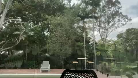 Snapshot of dartanian0001 chatting on 1, 10, 2025 dartanian0001 online show from 1, 10, 2025