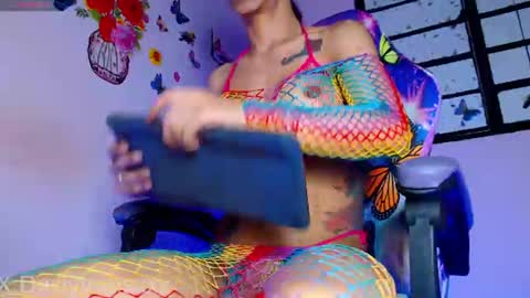 Dasly online show from 25, 6, 2026