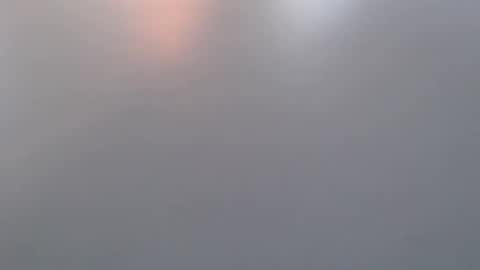 Snapshot of davdao3 chatting on 19, 3, 2026 davdao3 online show from 19, 3, 2026