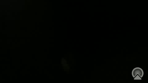 daveeveline online show from 11, 11, 2025