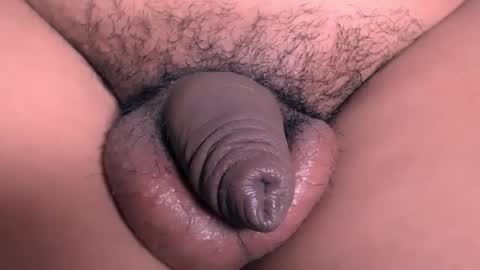 david_hotters online show from 2, 10, 2025