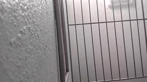 david_stone1969 online show from 25, 1, 2025