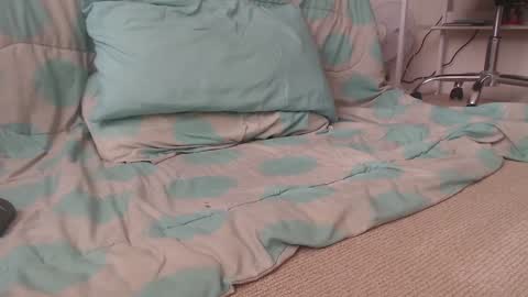 dav online show from 2, 12, 2024