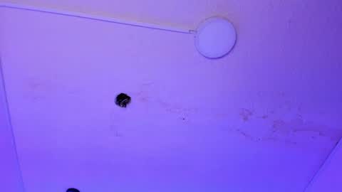 Snapshot of dayana_harlow2 chatting on 15, 1, 2025 dayana_harlow2 online show from 15, 1, 2025