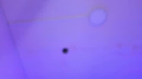 Snapshot of dayana_harlow2 chatting on 16, 1, 2025 dayana_harlow2 online show from 16, 1, 2025