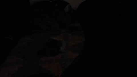 DC online show from 23, 11, 2025