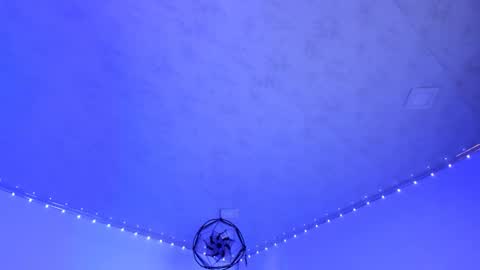 venus  adam online show from 5, 3, 2025