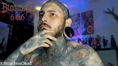    online show from 11, 2, 2026