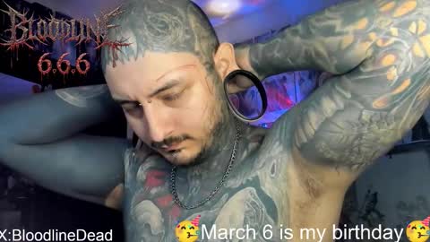    online show from 3, 3, 2026