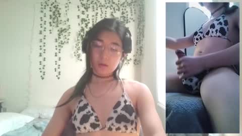 deciduousdoll online show from 3, 12, 2025