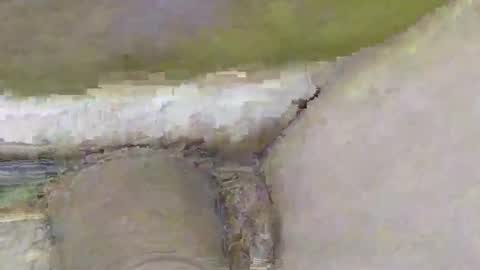 Dive Deep online show from 2, 11, 2025