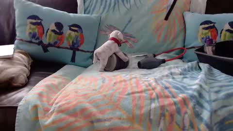 deeperjohnny online show from 21, 10, 2025