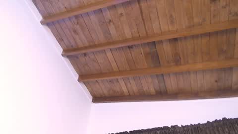  DEIVY  online show from 10, 12, 2024