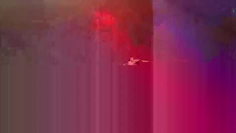 Snapshot of den2807 chatting on 3, 5, 2026 den2807 online show from 3, 5, 2026