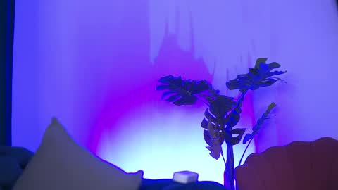 denisedevilles online show from 10, 5, 2026