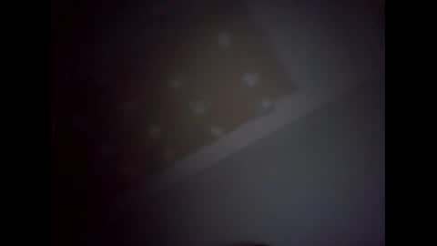 Snapshot of dentdlapin chatting on 28, 1, 2025 Toreto online show from 28, 1, 2025