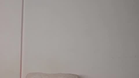 Snapshot of denzo_cornell chatting on 27, 10, 2025 denzo online show from 27, 10, 2025